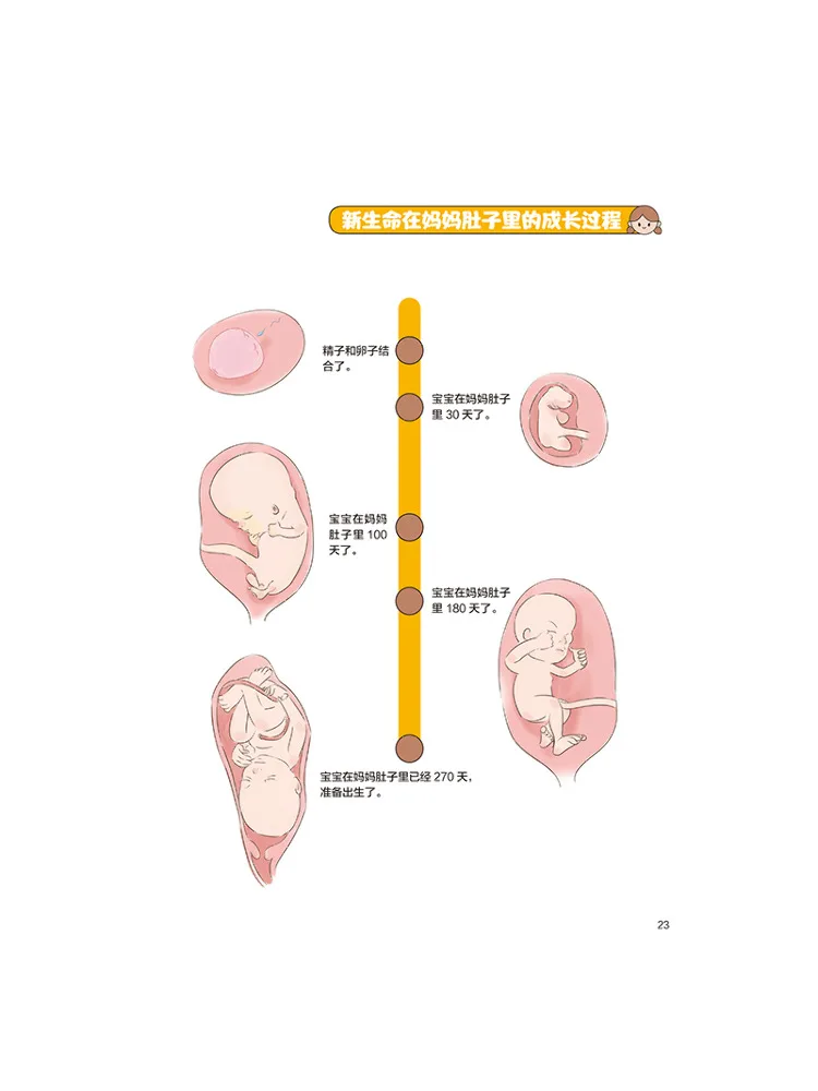 كتاب-Winshare فهم البراءة الطفولية لطلاب المدارس الابتدائية قارئ التعليم الصحة الجنسية للصف الثاني #4