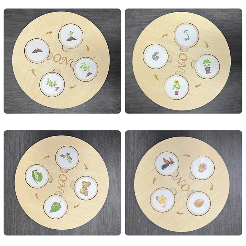 لعبة ألغاز دورة نمو الحياة البيولوجية، لوحة تعليمية لرياض الأطفال 15UB