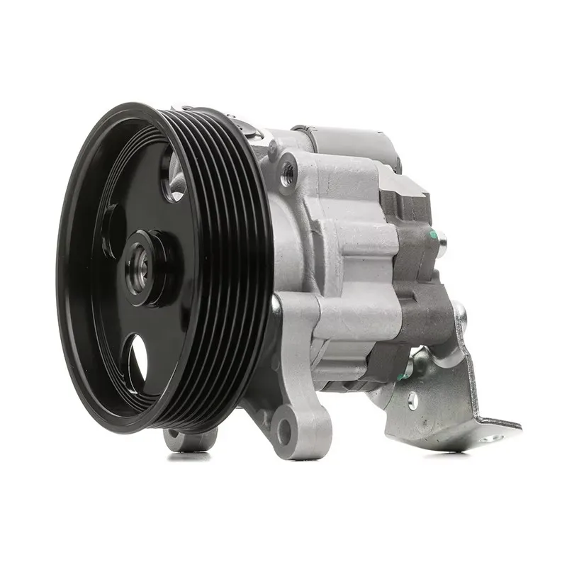 

Насос гидроусилителя рулевого управления автомобиля 0064664801 для Т-модели Mercedes-Benz E-CLASS