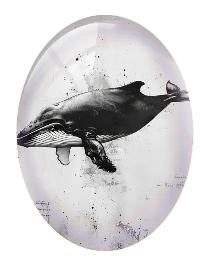 10 pçs/lote Halloween Gótico Preto Branco Horror Animais Oval Foto Cabochão De Vidro Flatback Demo Cameo Para Fazer Jóias Diy