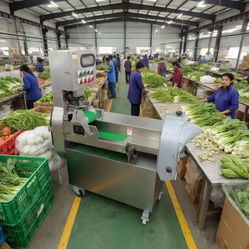 Industrial 2 Head Vegetable Cutter for Slicing Shredding Dicing Leafy Root Vegetables Multi Functional Food Processor