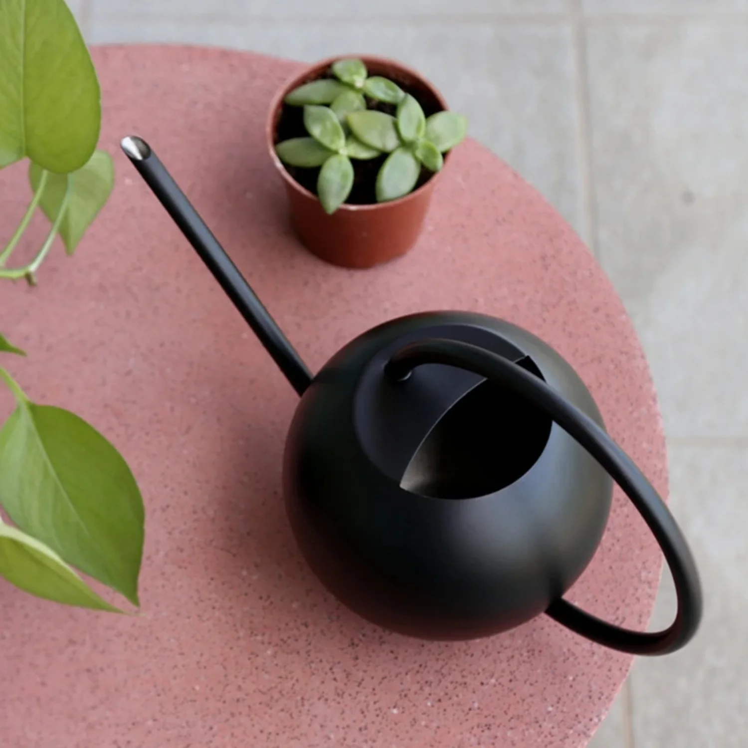 400 ML Stainless Steel Watering Can Small Indoor Plants, Mini Watering Can Metal Long Spout Watering Can Small Indoor Plants