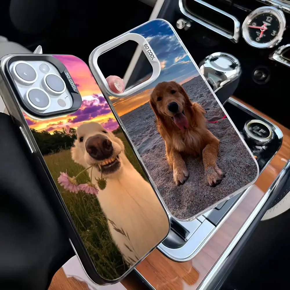 

Golden Retriever Pet Phone Case For iPhone 16,15,14,13,12,11,Mini,Pro,MAX White Matte Shockproof Cover