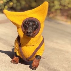 Jersey con gorro de lana para perros Dachshund y galgo italiano
