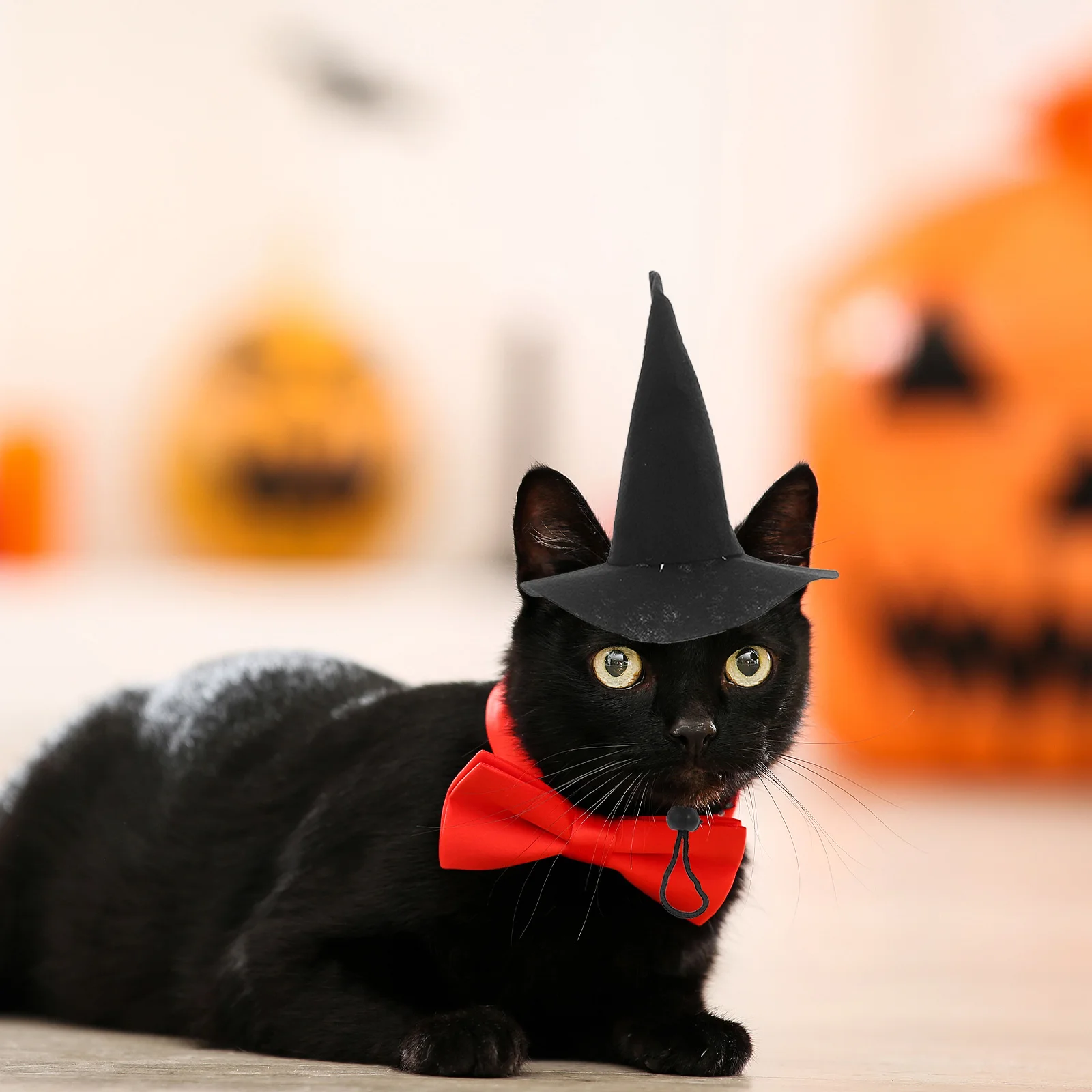 

2Pcs Hat for Pets Adjustable Halloween Witch Cap Decor Durable Reusable Dog Cat Party Costumes Accessories