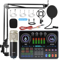 Dj20 Sound Card Studio Mixer BM800 Noise Reduction Microphone Singing Voice Live Broadcast Phone Computer Record USB Sound Card