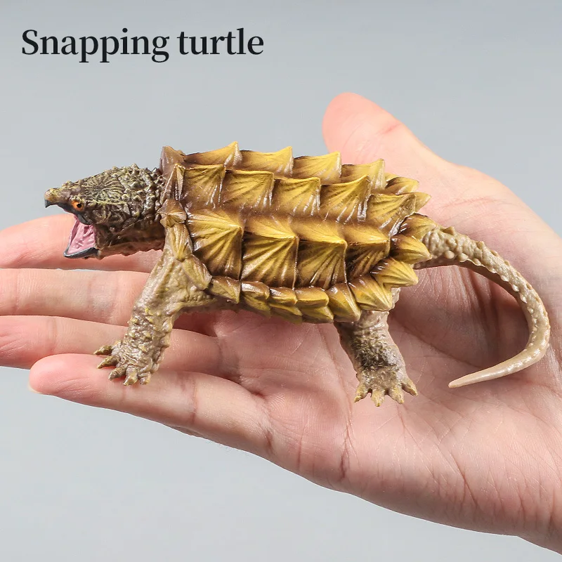 تمثال نموذج سلحفاة بحرية من الجلد - الحياة البحرية مقلد على شكل حيوان صلب من مادة PVC هدية لعبة تعليمية للأطفال #5