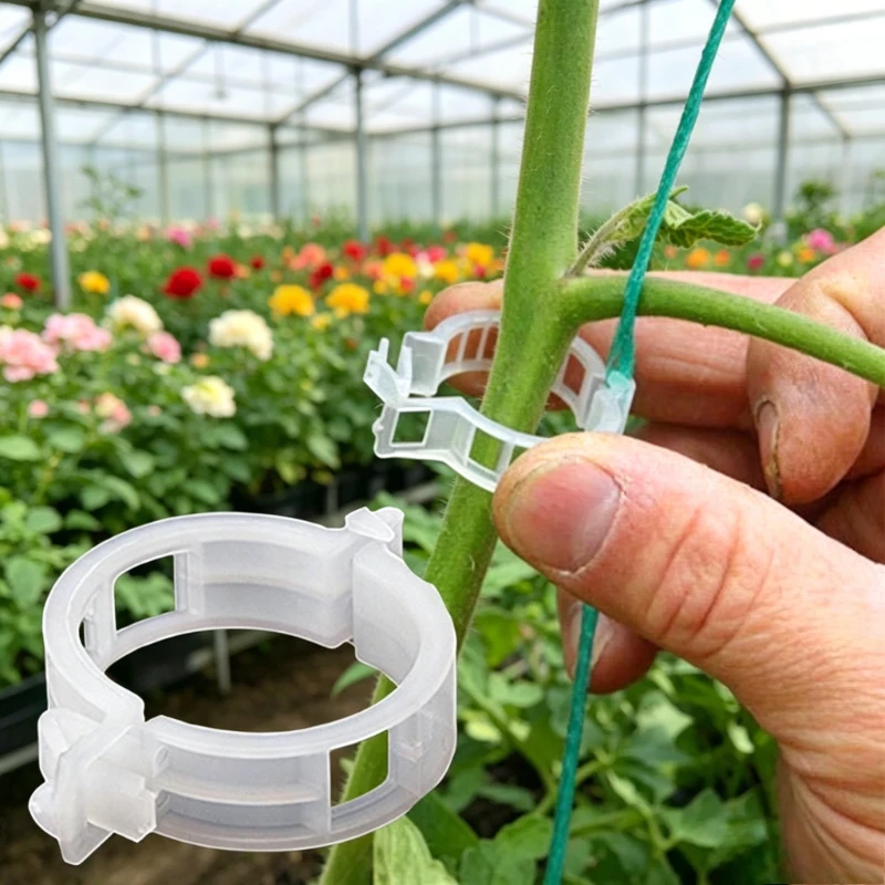 Plastic Plant Clips Supports Reusable Buckle Connects Fixing Vine Tomato Stem Grafting Vegetable Plants Orchard and Garden Tools