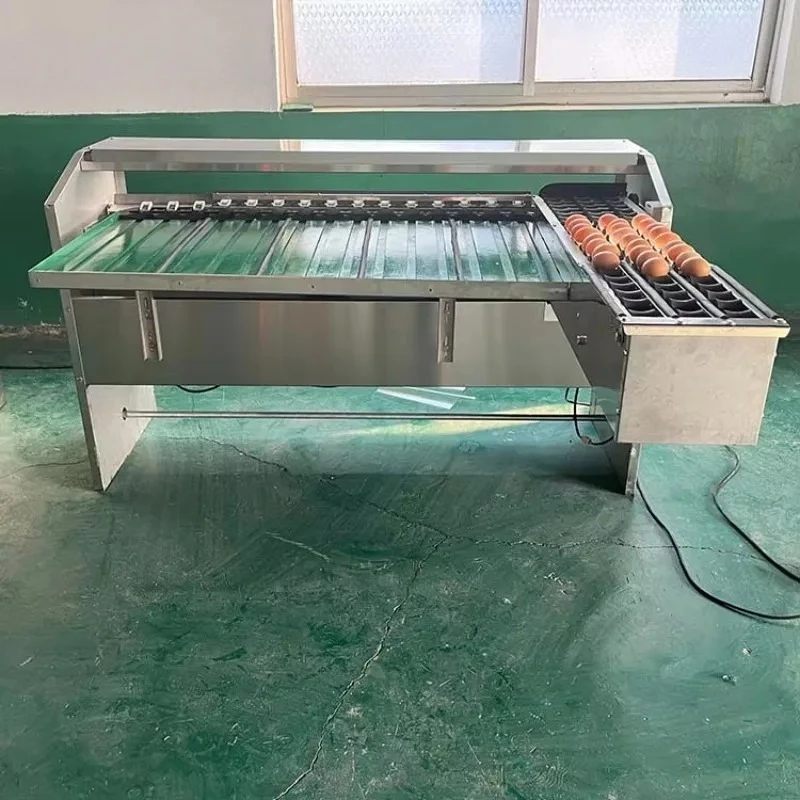 5-Grade Multi-Egg Sorting Machine Weighing Size Grader For Fresh Duck Salted Duck Goose Egg Processing Line