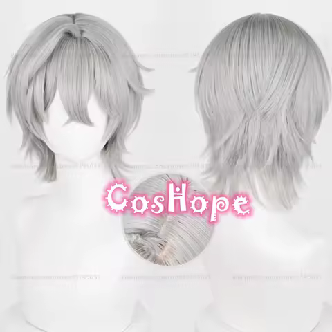 Phaethon Wise Cosplay Wig 33cm Short Hair Gray Wig Cosplay Anime Cosplay Wigs Heat Resistant Synthetic Wigs