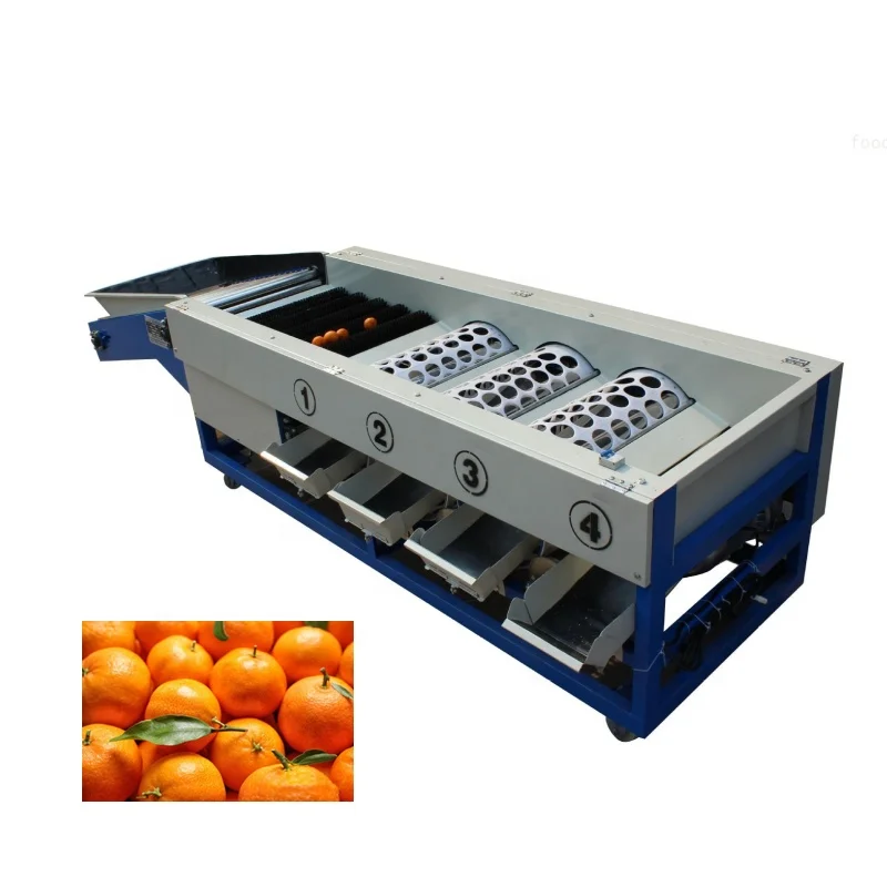 Custom Orange Sorting Machine Fruit Grading Machine Dragon Fruit Sorting Machine
