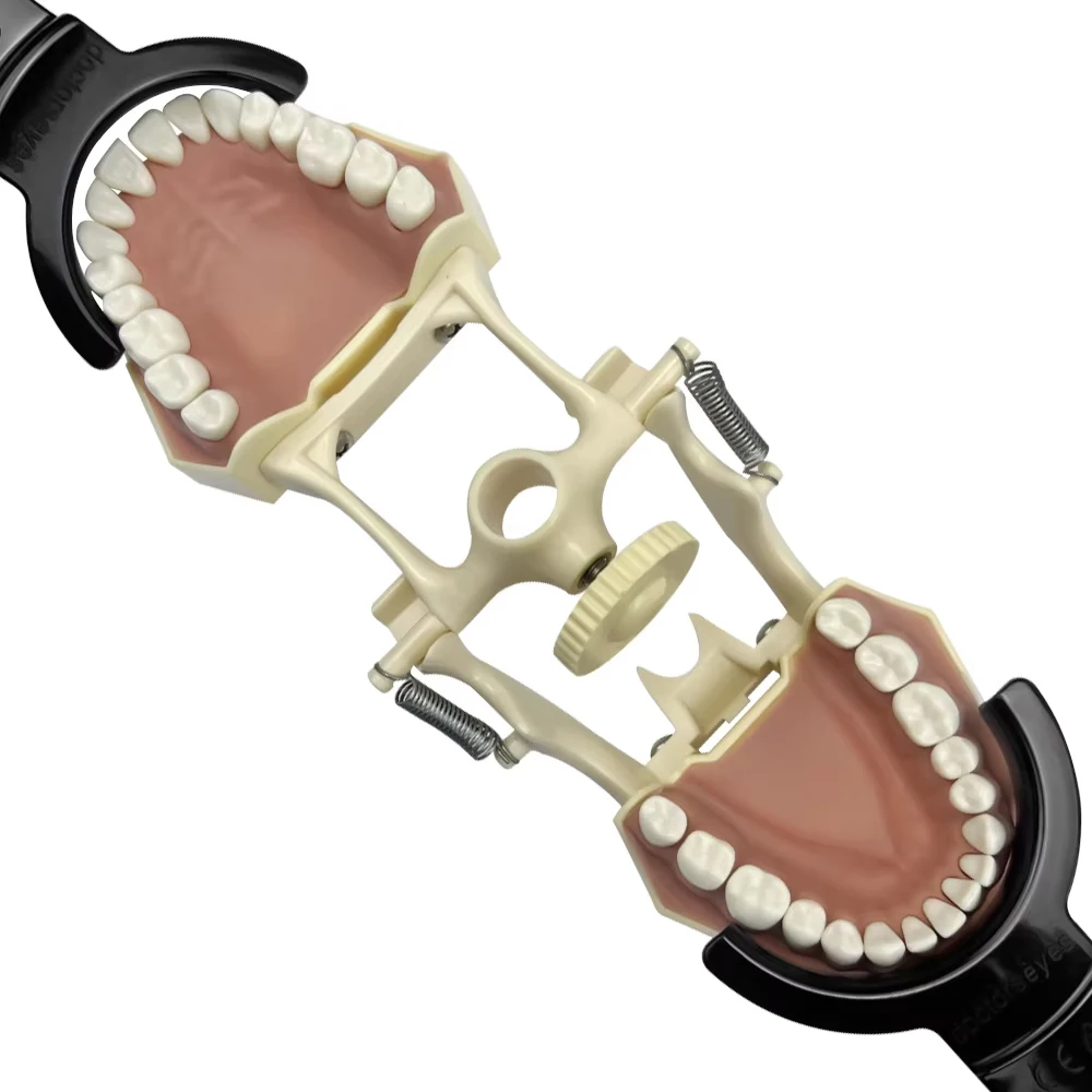 Ouvre-dents buccaux, 2 pièces, écarteurs buccaux, blanchiment des dents, extenseurs de lèvres supérieures et inférieures, outils dentaires orthodontiques