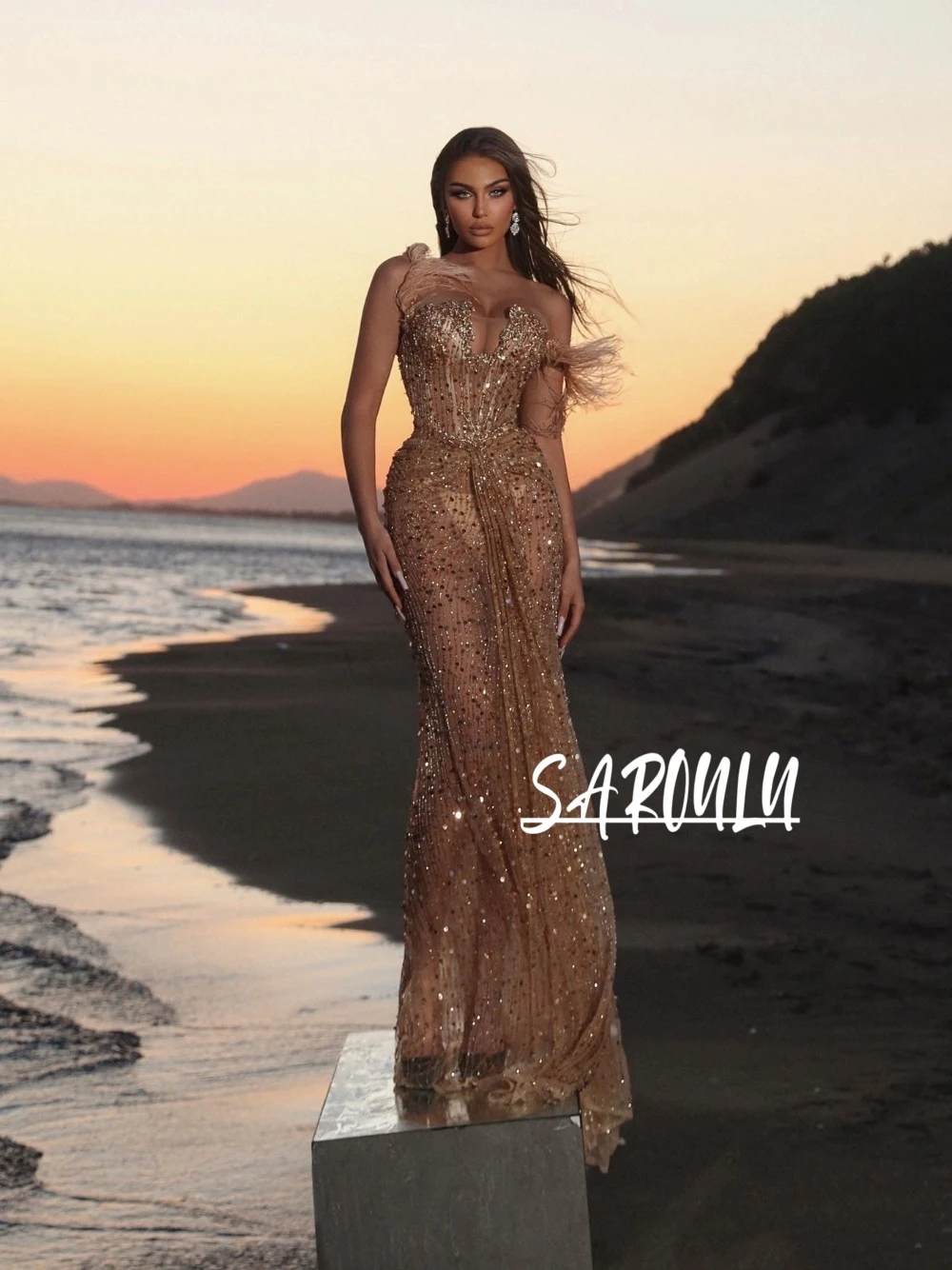 

Beautiful See Through Glitter Evening Dress Glamorous Feathers Corset Customized Cocktail Gown Front Tail Stylish Party Wear