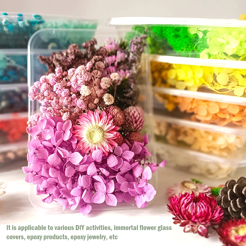 Natural Plant Dried Flower For Making Mobile Phone Case Aromatherapy Wax Slice Gift Box Epoxy Resin Jewelry Flower Accessories