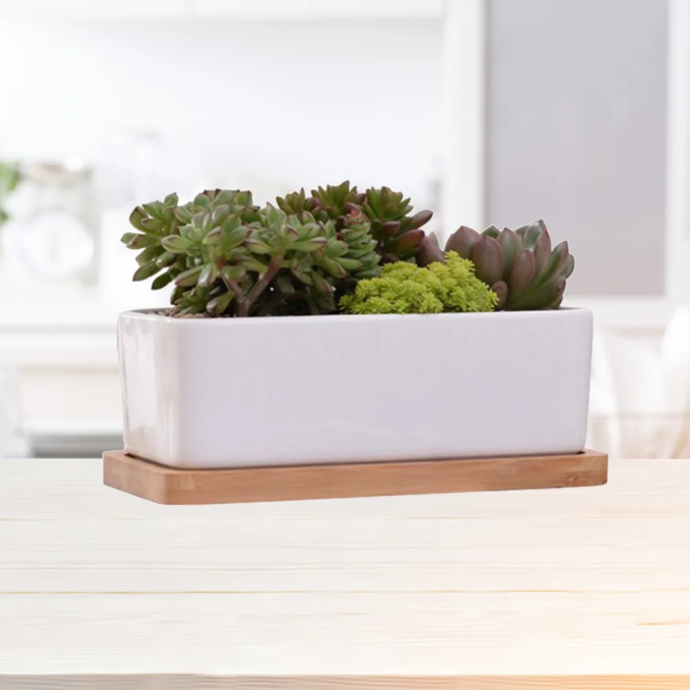 

2 шт., горшок для суккулентов, прямоугольный цветочный горшок, термостойкий, морозостойкий для маленьких кактусов, воздушных растений, декор, держатель для растений