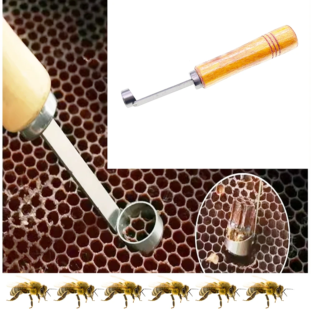 Non Grafting Larva Queen Rearing Blade Intercept Egg From Comb Harmless Blade Easy Handing Beekeeper Practical Equipment Bee