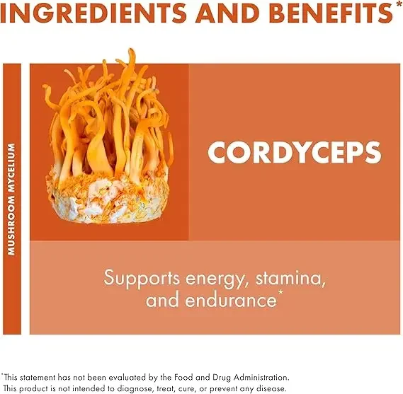 Cordyceps sinensis capsules - Immune and energy supplements-Kidney health supplements containing Cordyceps sinensis -60 capsules