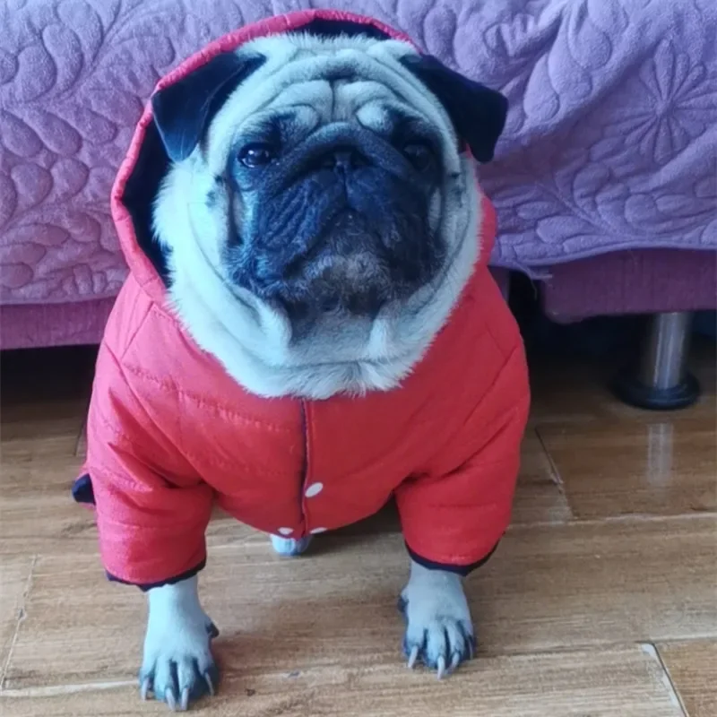 Imagem -04 - Francês Bulldog Roupas de Inverno Pug Roupas de Cachorro Macacão Cachorro Quente Traje Macacão Frenchies Fato de Cachorro Macacão Cabolsa de Estimação Jaqueta