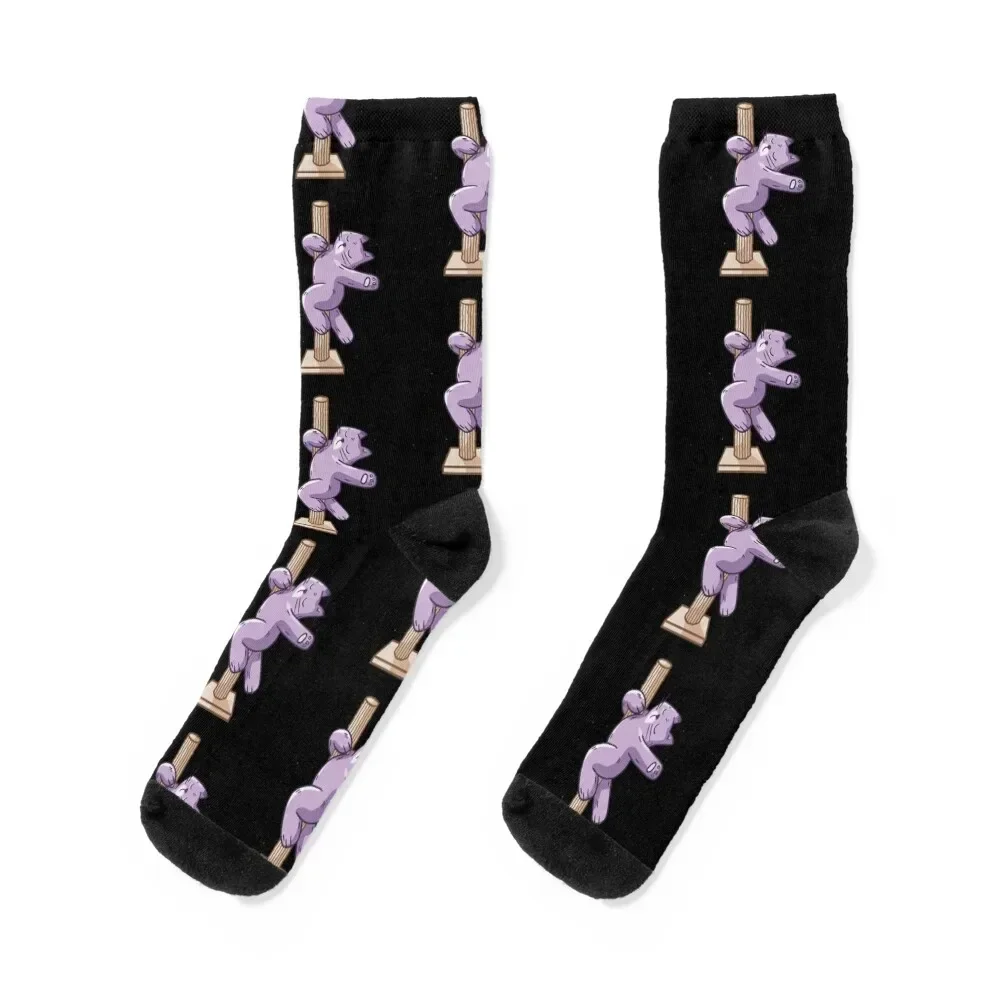 Pole Cat Socks heated with print hip hop bright garter Boy Socks Women's