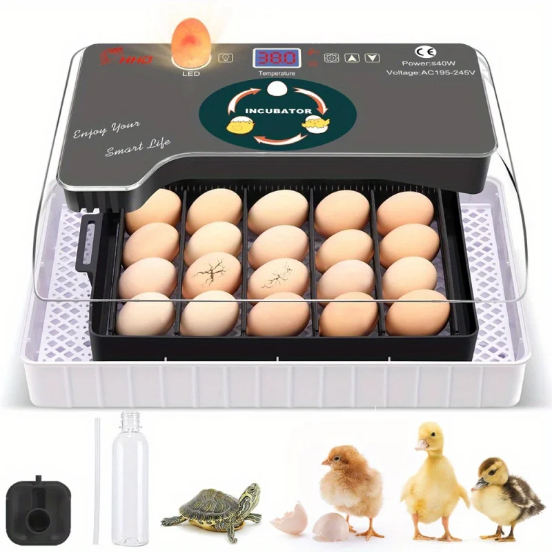 

Intelligent Incubator，Can Accommodate12Egg，LEDDigital Temperature Display，Automatic Turning and Adding，Abnormality