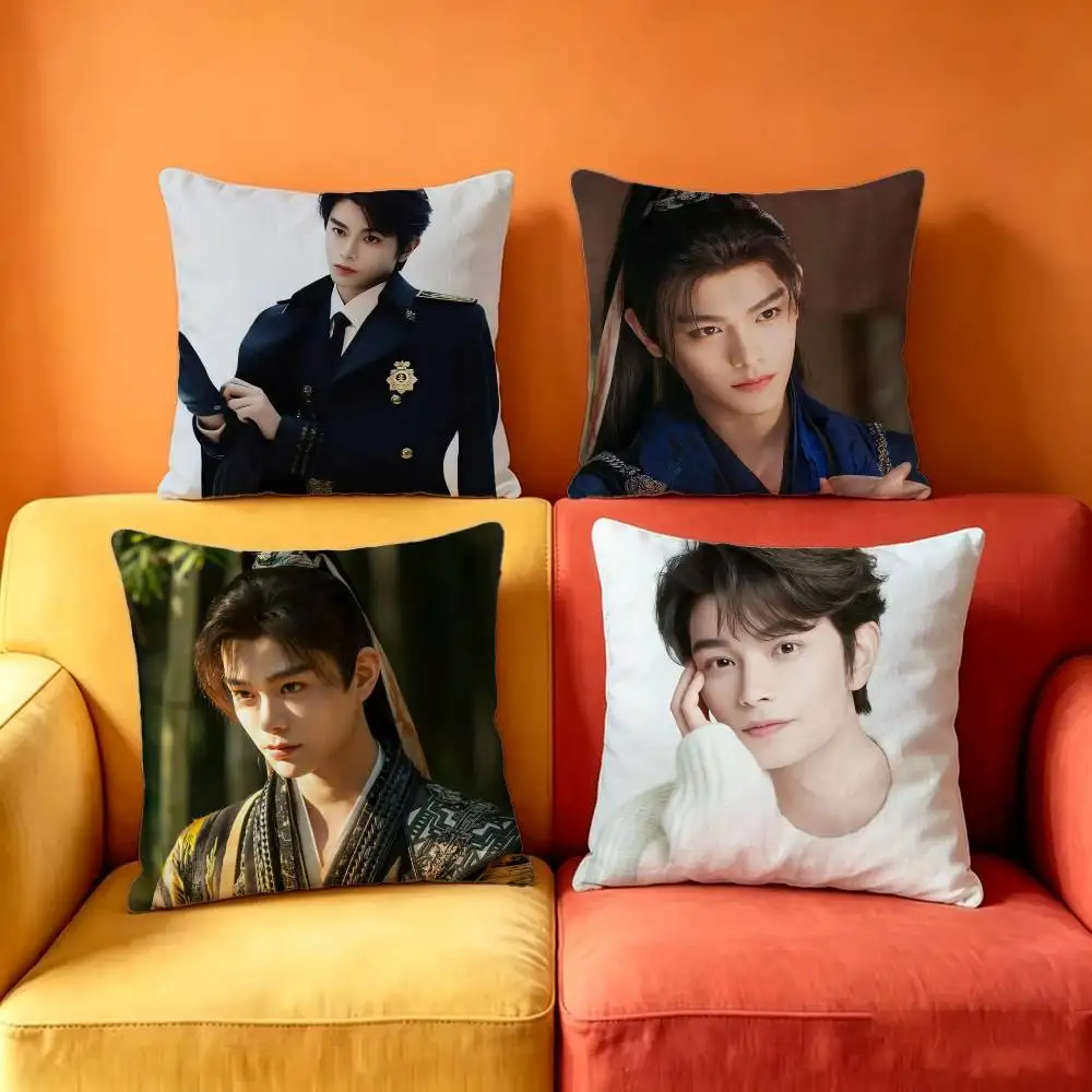 Ryan Ding Yuxi Mu Sheng  Square Double-Sided printed Pillow Case Bedroom Bedside Pillow Sofa Cushion Cover