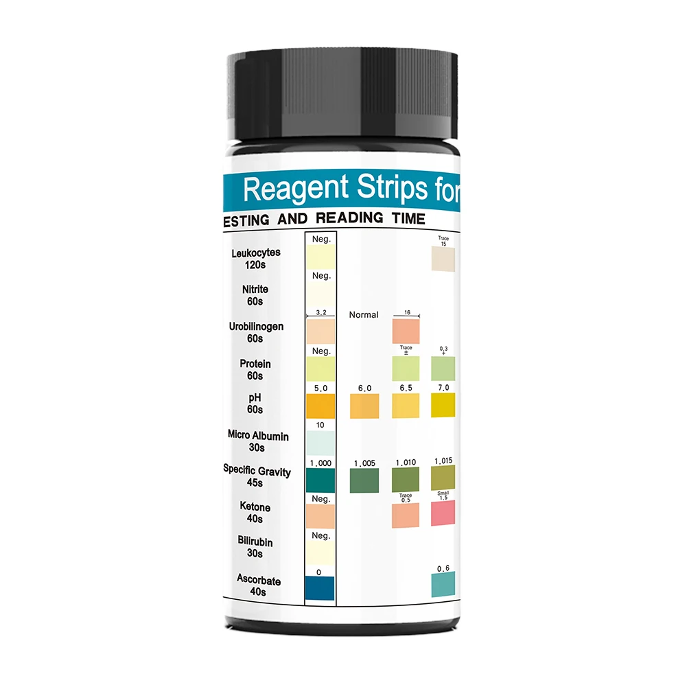 100 Strips Urinalysis Reagent Strips 10 Parameters Protein Test Strips Leukocytes Nitrite Urobilinogen Protein PH Ketone