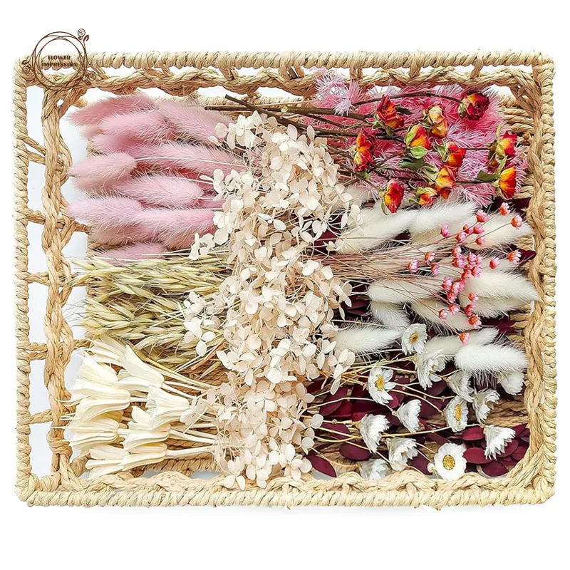Ensemble de fleurs séchées naturelles DIY, fleurs séchées en vrac pour vase, toutes saisons, décoration de table, Noël, Halloween, Pâques, Thanksgiving