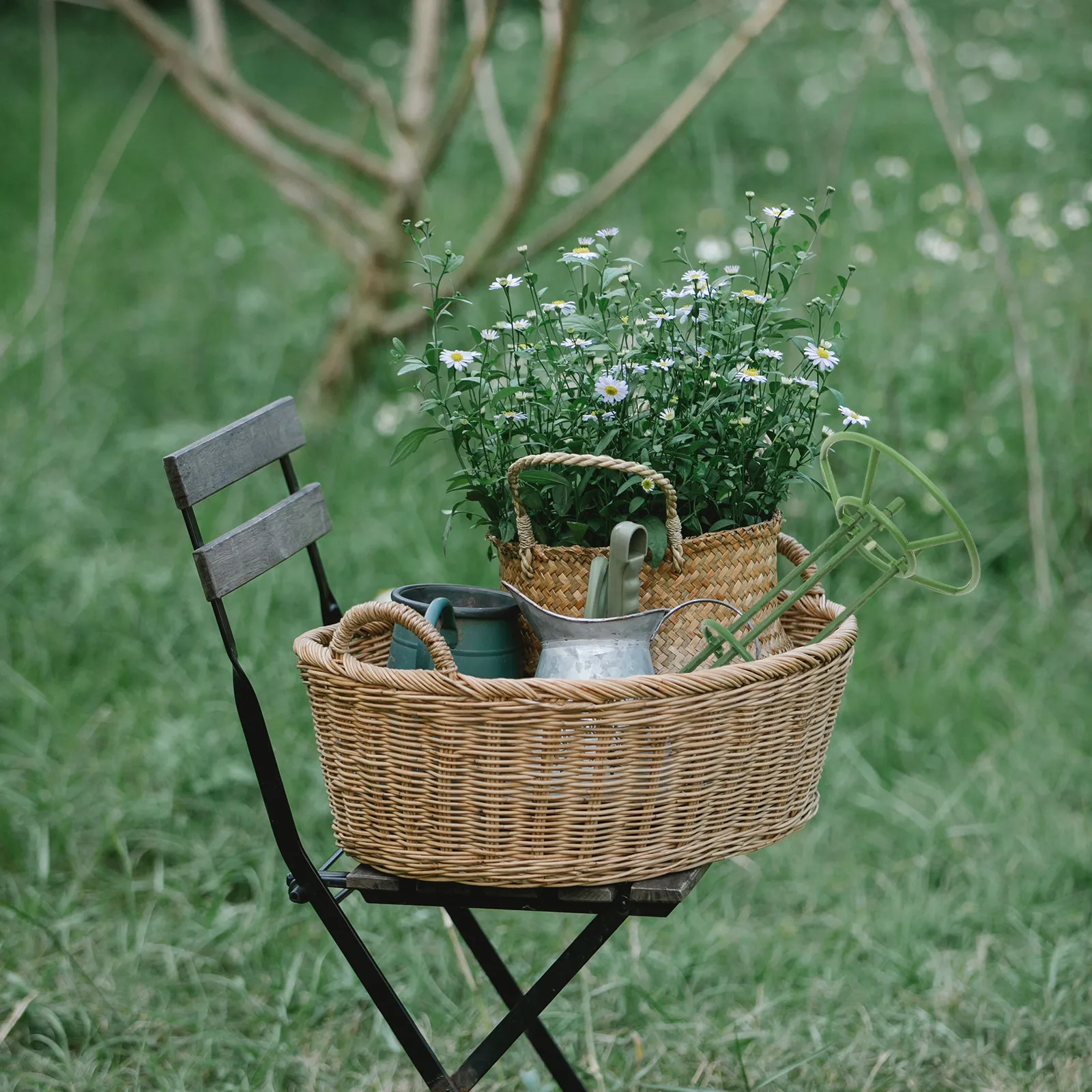 

Набор из 1 шт. Премиум-класса: Регулируемая опорная конструкция из АБС-пластика и железа для томатов и вьющихся растений, садовая решетка для горшечных растений