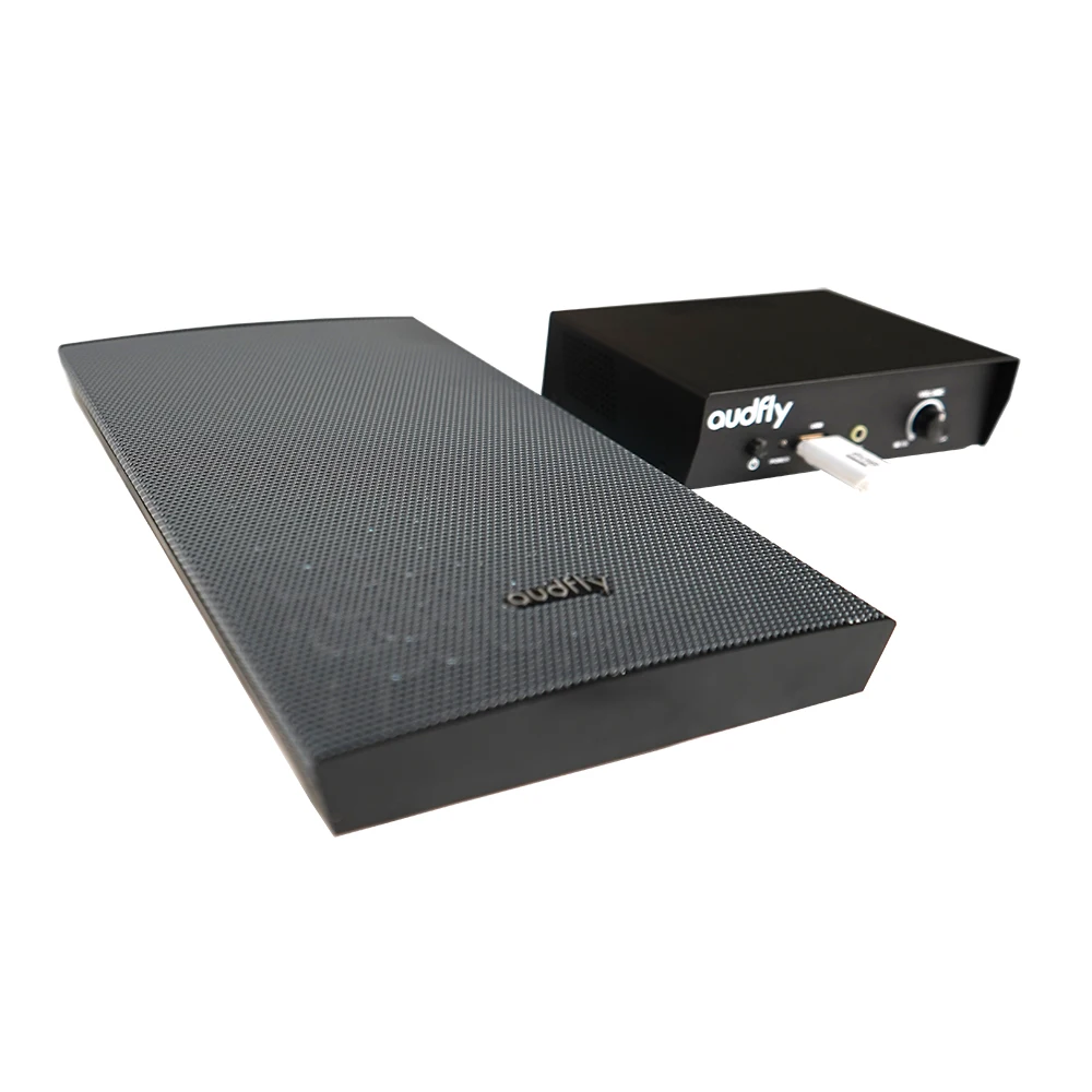 مكبر صوت TLF Audfly بالموجات فوق الصوتية مع نظام مكبرات الصوت اللاسلكية للمتاحف