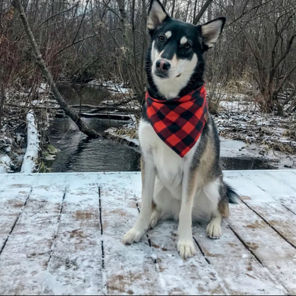 

2 Pcs Dog Collar Bib Cotton Pet Bib Christmas Collar Grid Design Bright Color Pet Accessories Saliva Towel Winter