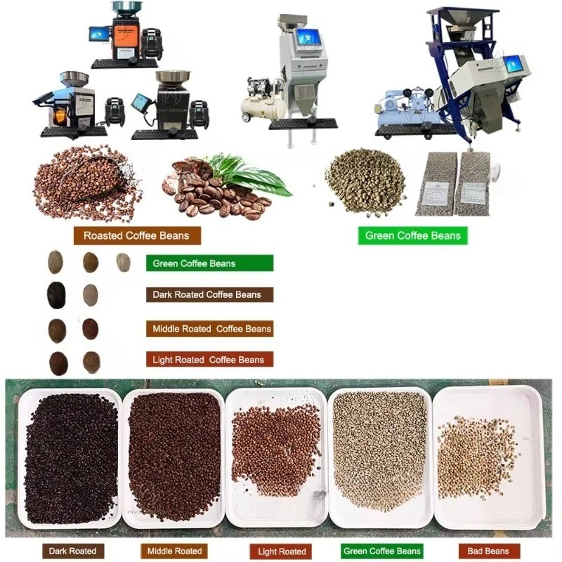 500-1500kg/h 500 Kg/h Quinoa Coffee Beans Rice Color Sorting Color Sorter Dry Vegetable Clean Sorting Machine