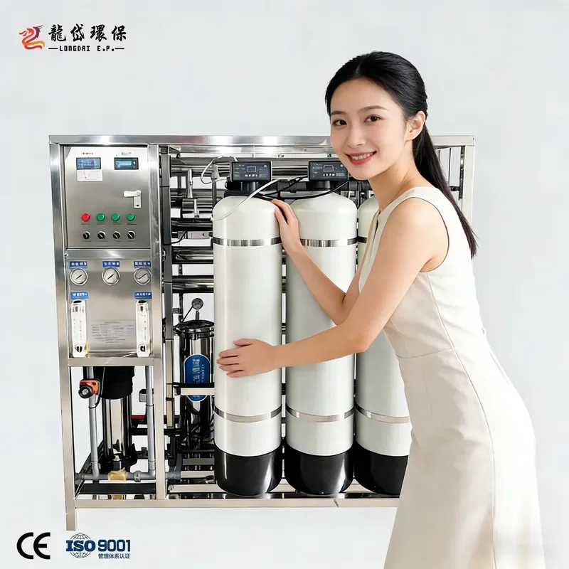 Reverse Osmosis Water Softener System 500L H Stainless Steel Filter Media Durable Home Use Whole House Purification Plant