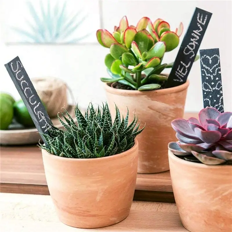 BMBY-Slate Plant Label Markers Garden Labels Tags For Vegetable Or 15X2cm, 20 Pcs