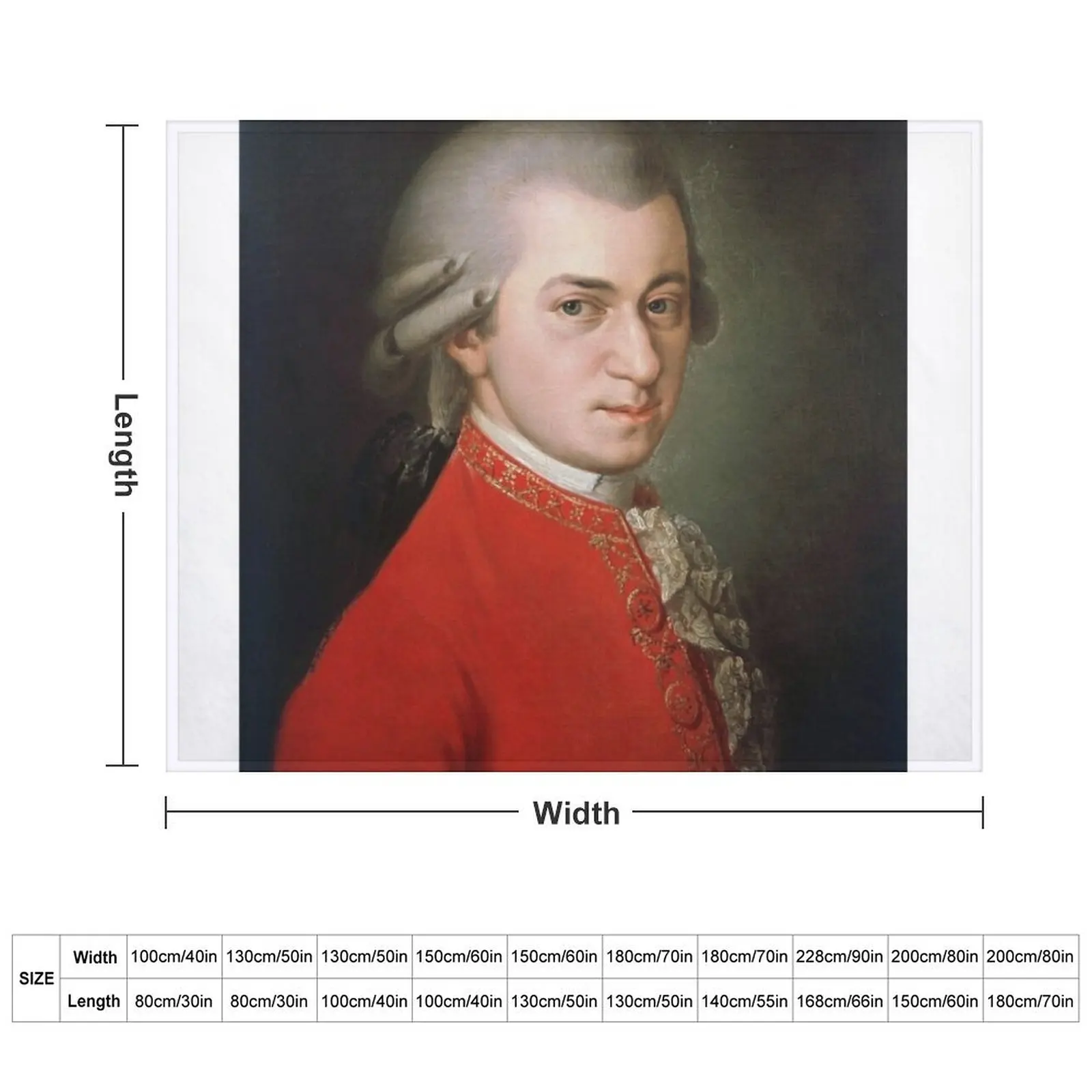 Wolfgang Amadeus Mozart Throw Blanket decorative warm winter Moving Blankets