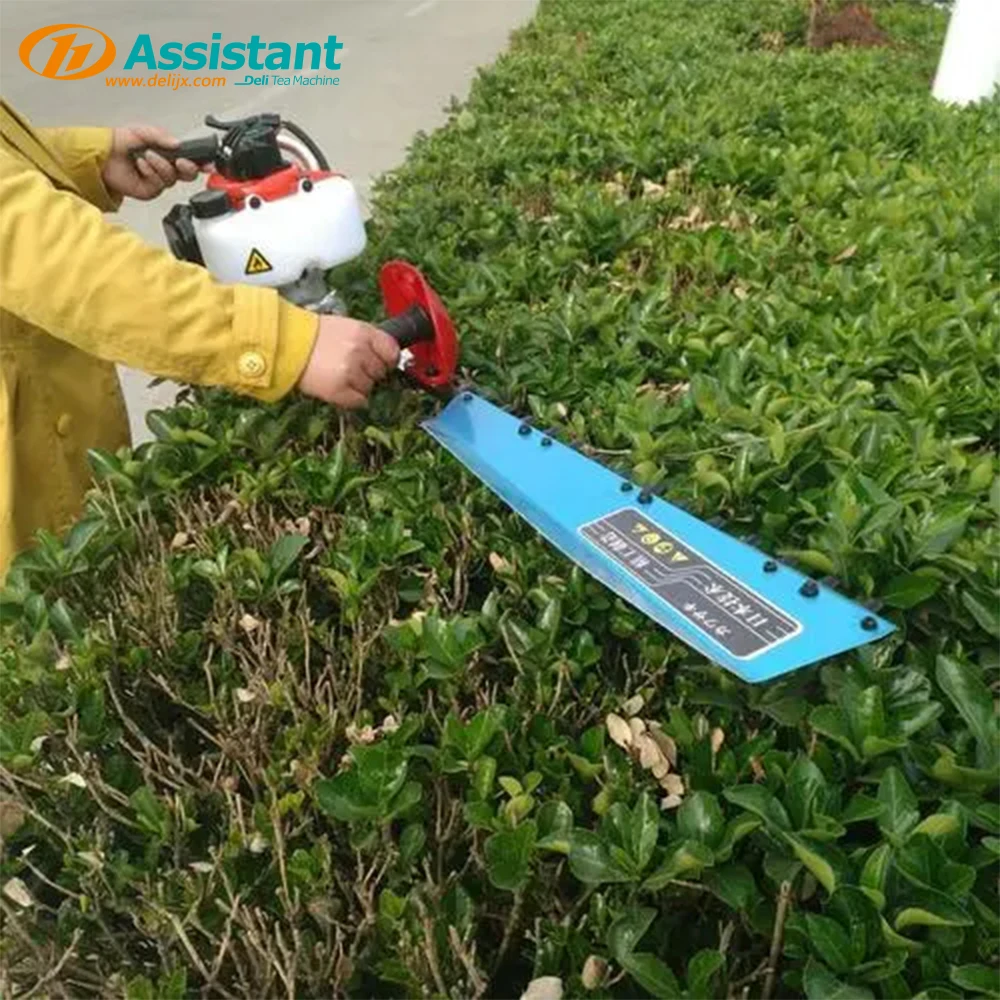 Gasoline Engine Tea Plantation Hedge Trimmer Easy to Operate Handheld Tea Leaf Hedge Trimmer of 3CX-750