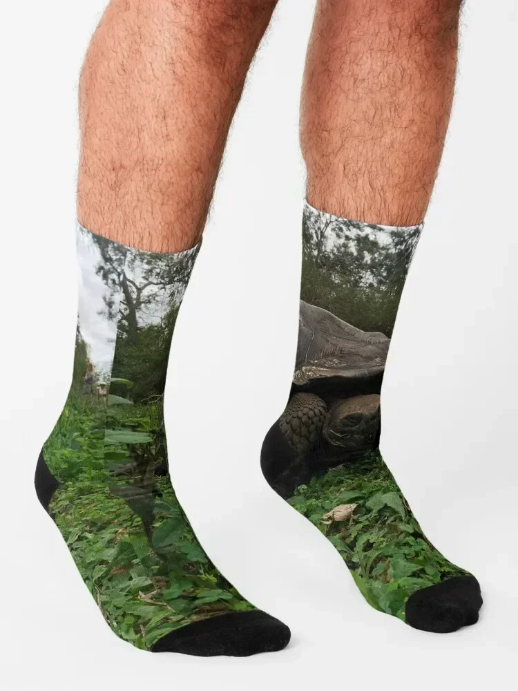 Galapagos Tortoise Socks hiking Lots Rugby Socks Male Women's