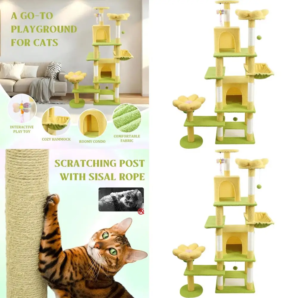 71 Large Flower Cat…