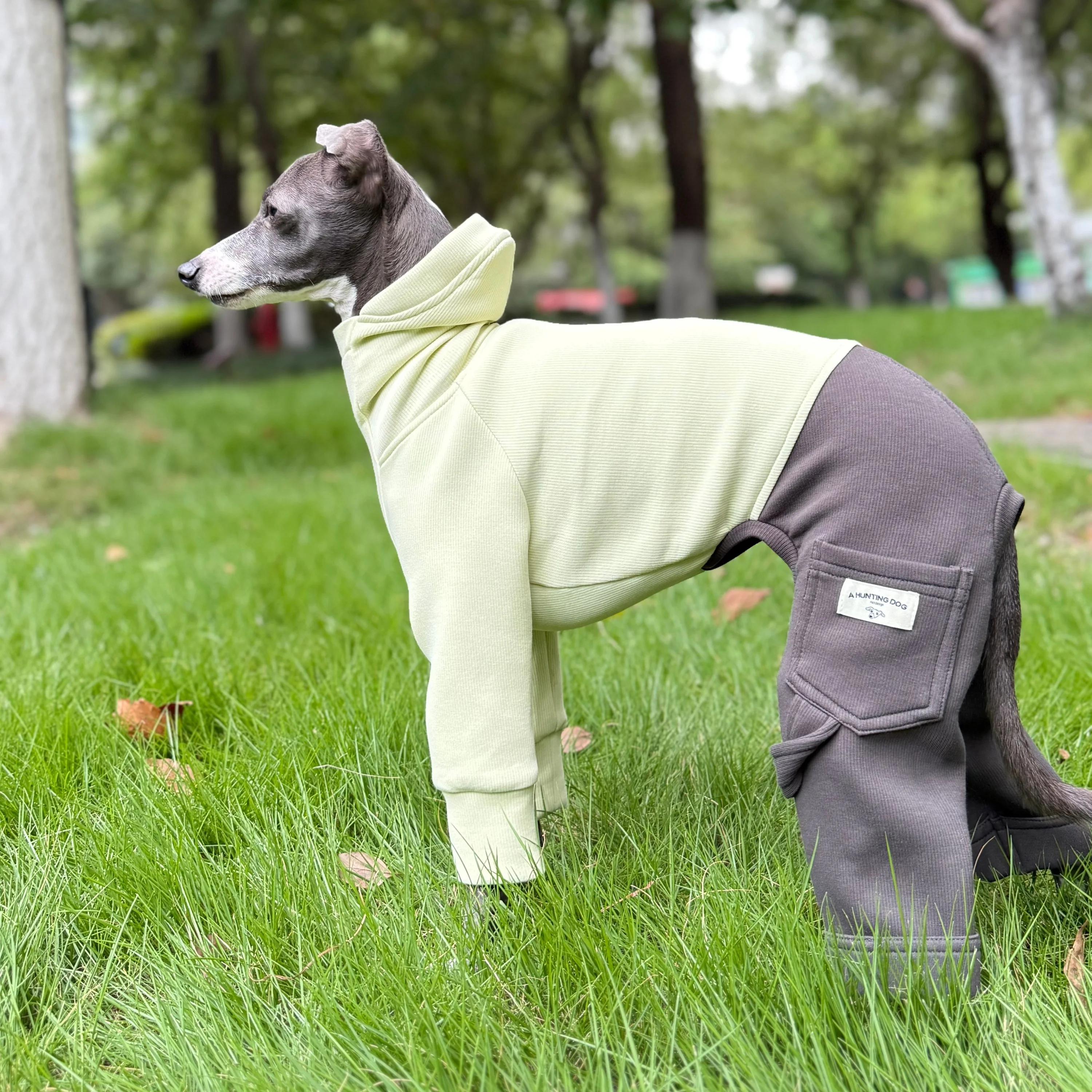 

Осенняя одежда для борзых, теплая, мягкая, серая толстовка с высоким воротником на 4 ножках, зеленое хлопковое пальто, осенняя одежда для дома для средних собак