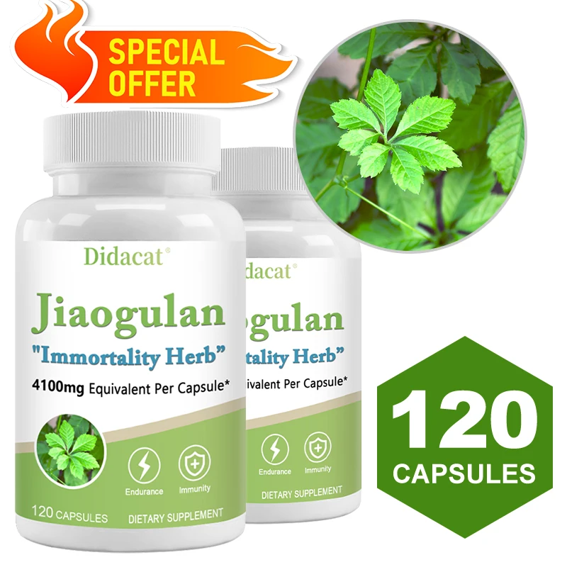 Jiaogulan 4100 Mg 120 Vegetarian Capsules (Non-GMO & Gluten-Free) Jiaogulan - Endurance and Stamina, Immune System Health