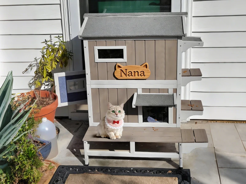 outdoor cat house