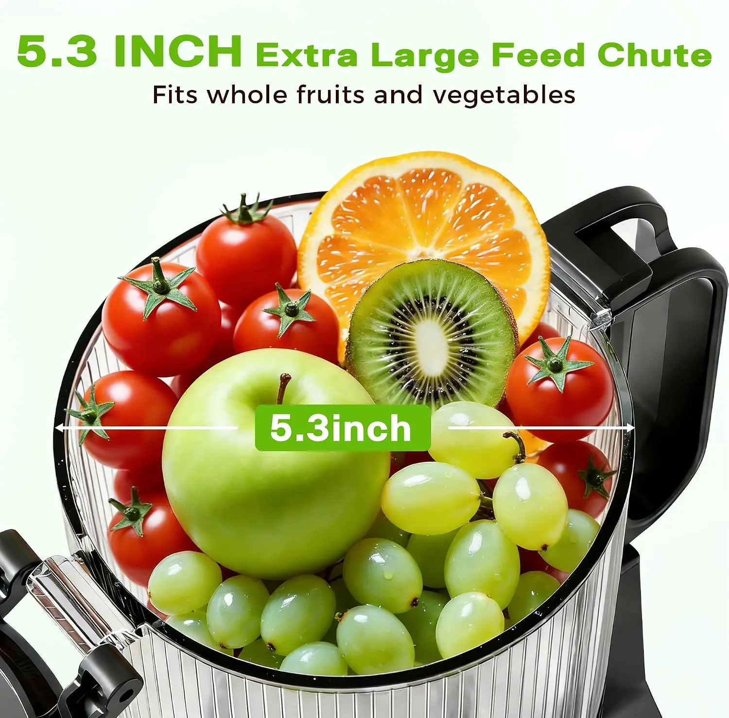 Slow Masticating Cold Press Juicer with 5.3