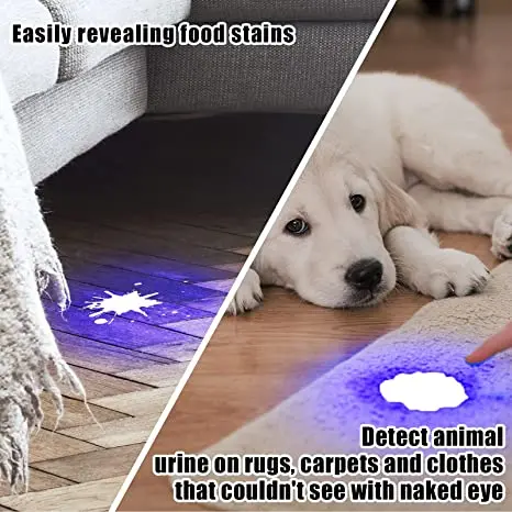 Mini lampe de poche UV Blacklight, lampes de poche, détecteur de torche, chien, animal de compagnie, urine, SAF, punaises de lit et scorpions,