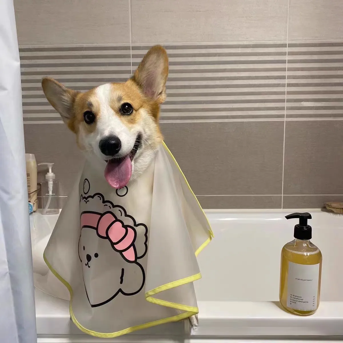 Pet shop bathing Cleaning Pet dogs Cats cleaning Tear stains Haircuts Cloaks Cloth covers Pet supplies