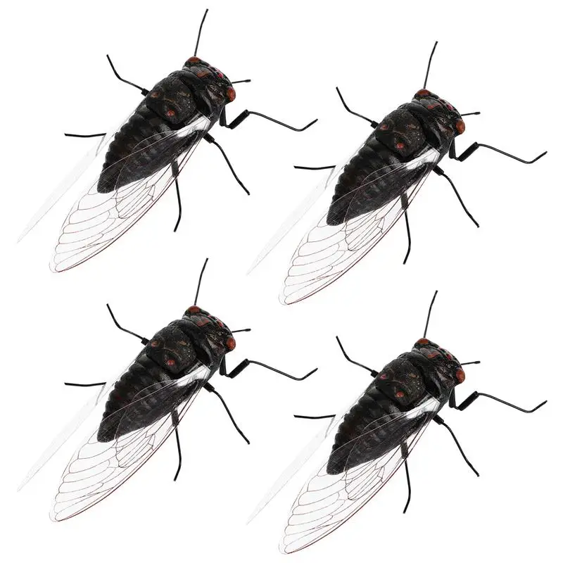 

4pcs Simulation Animal Fake Cicadas Decoration Teaching Model Simulating Animal Insect Fake Cicadas Decor