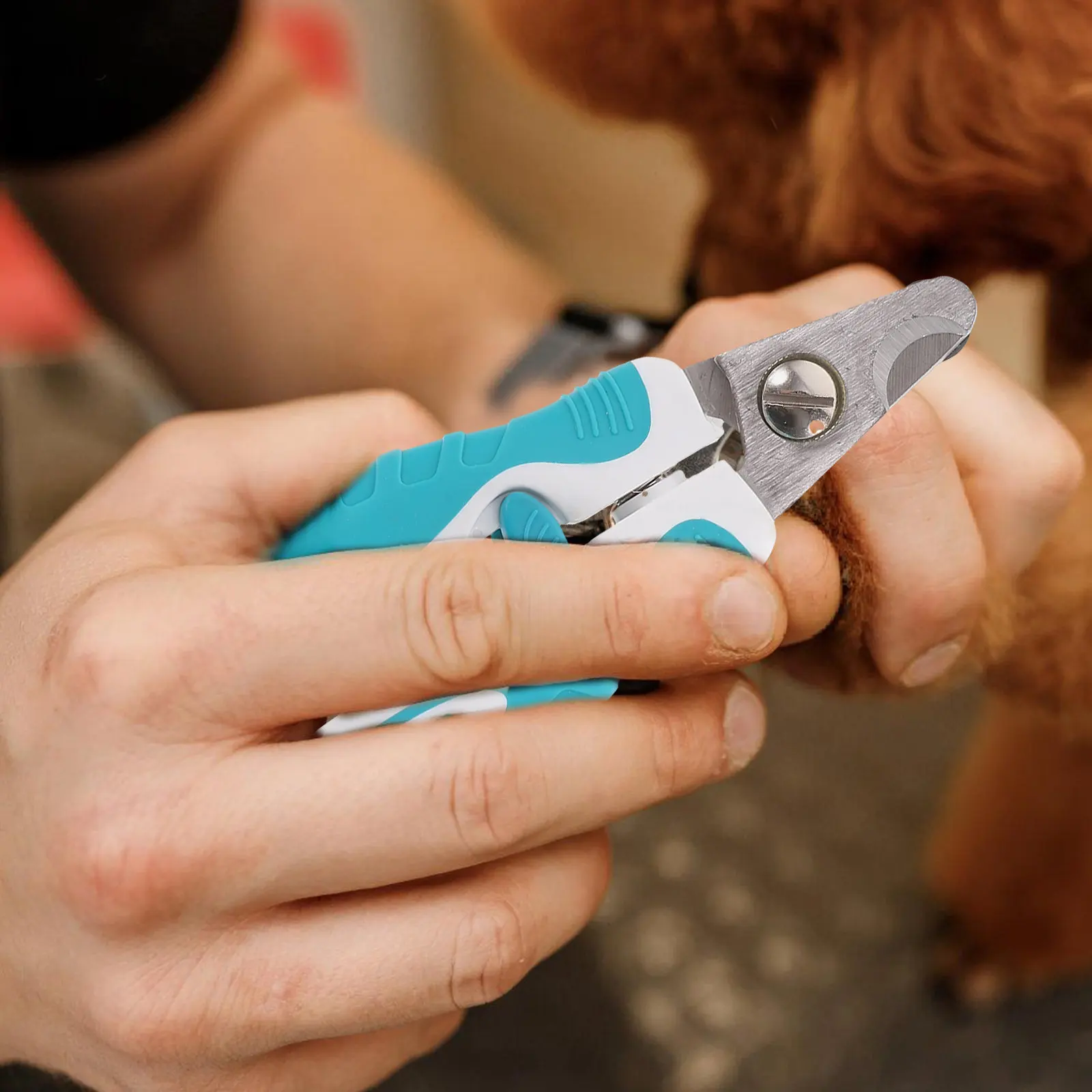 Pet Stainless Steel Nail Pliers Dog Grooming Tool Cutter Clipper Safety Guard Wear Resistant Blade For Cats Dogs Pet Nail File