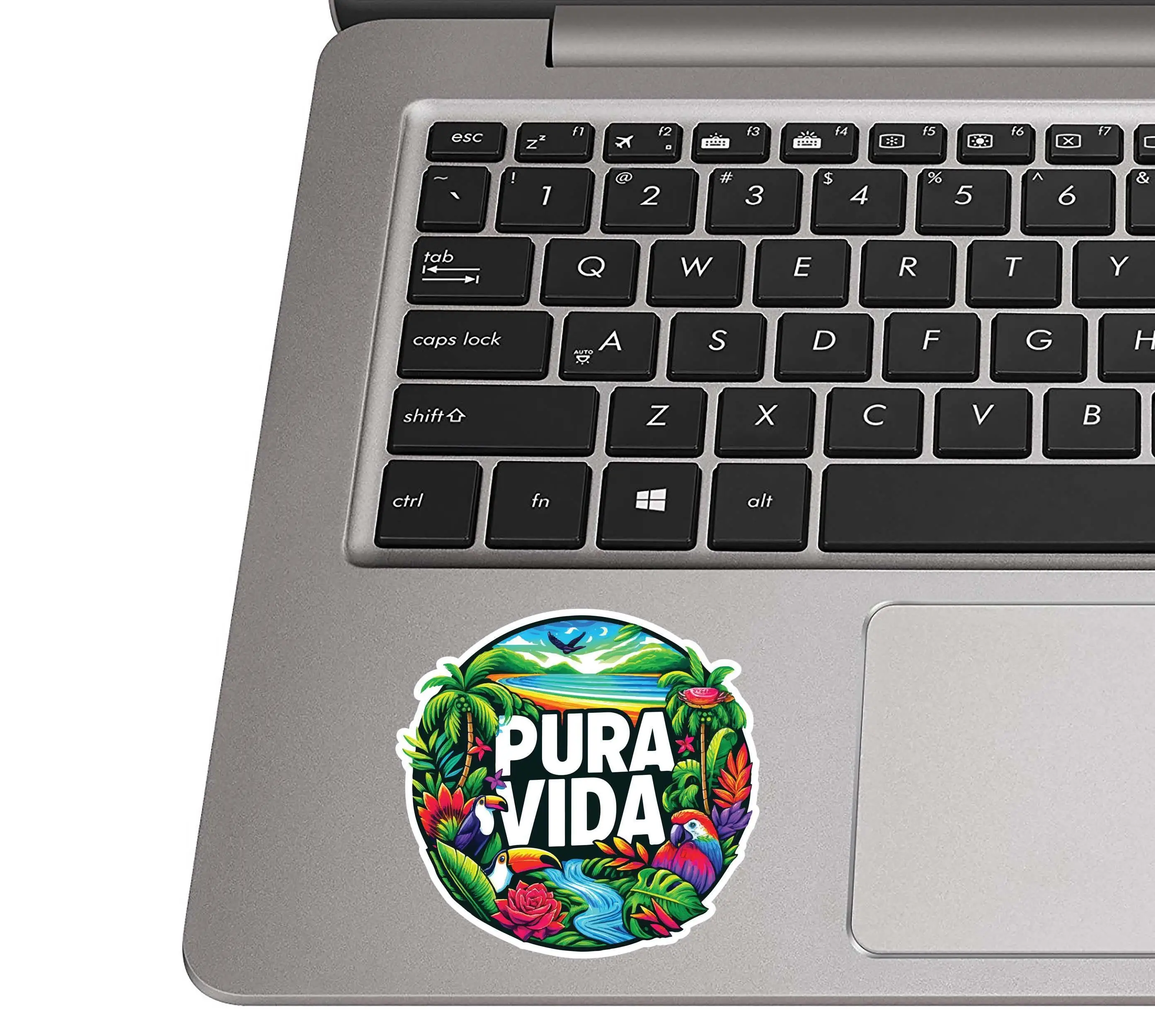 Pura Vida Parrot Tropical Paradise Vinyl Car Sticker Durable Decal for Car Window and Water Bottle Decorative Graphic