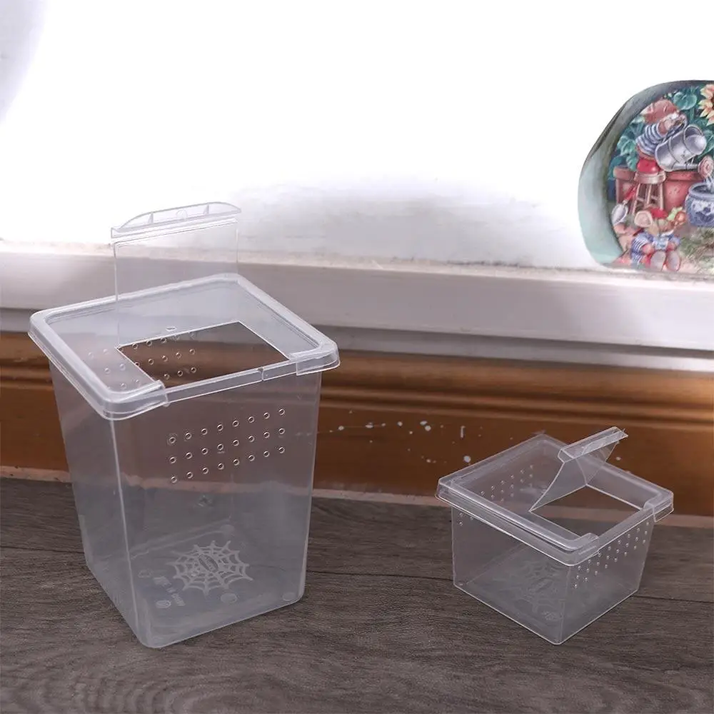 Durable Reptile Accessories Plastic Household Transparent Reptile Habitat Insect Feeding Box Hatching Tank Lizard Living Box
