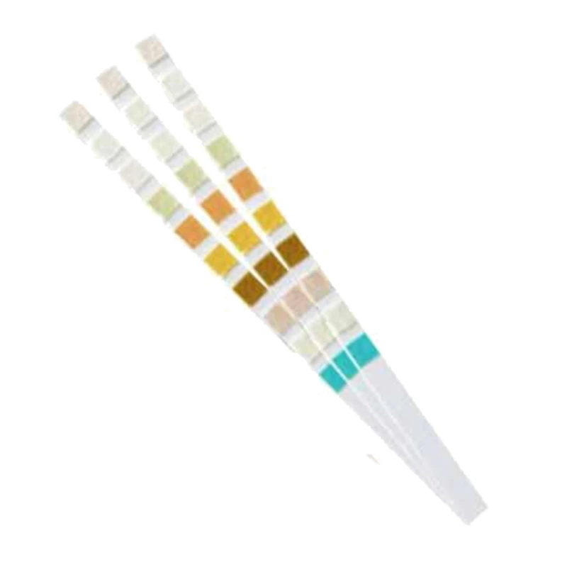 100 Strips Urine Test Strip 10 Parameters