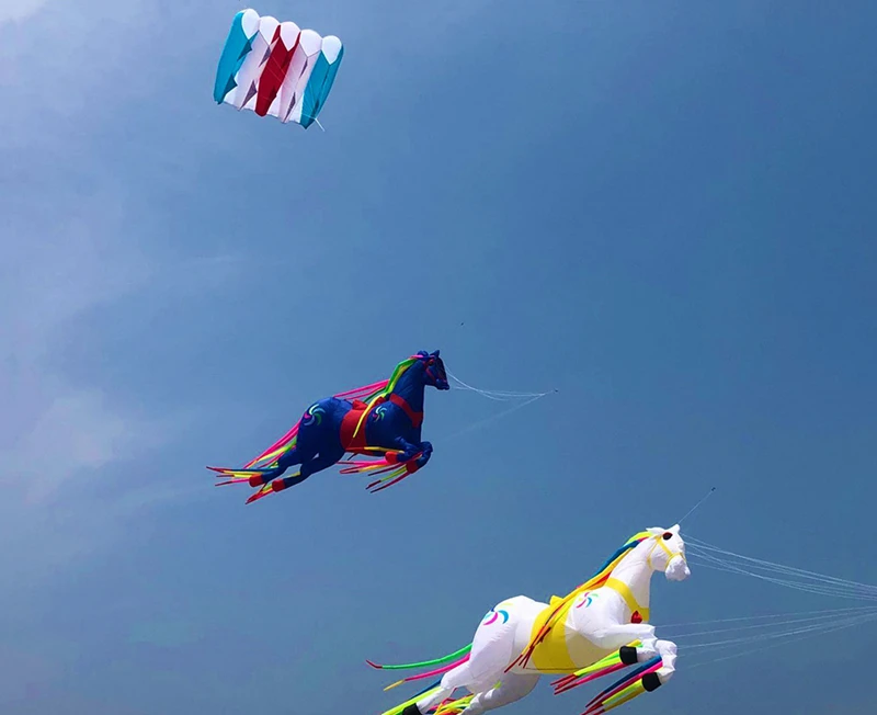 36sqm pilot kite flying large soft kite parachute kite pendant octopus kite inflatable show kite Large kite flying enough game