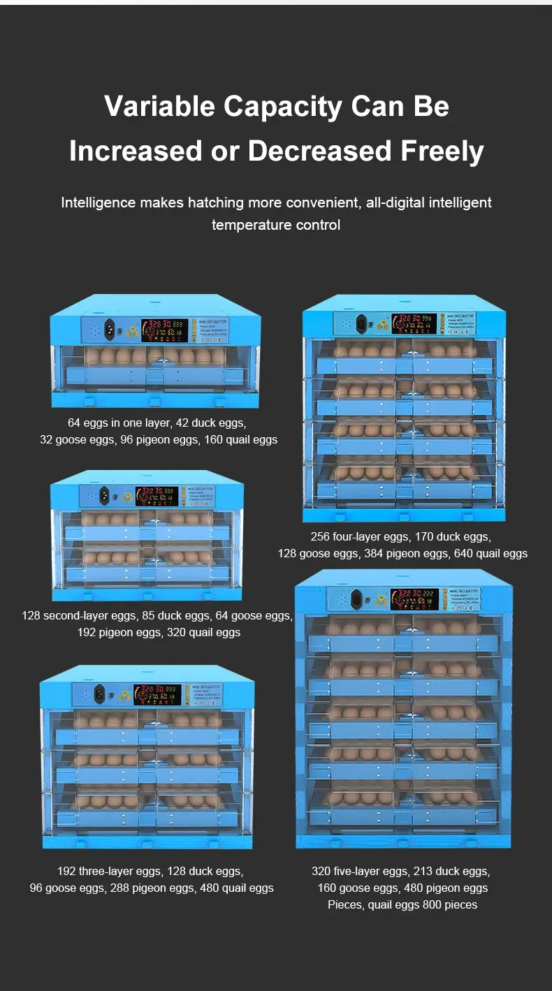 Fully Automatic Egg Hatching Machine Incubator 220V 12V Chicken Duck Goose Bird Egg Incubator